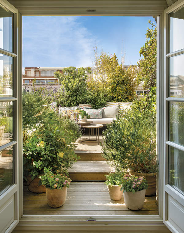 Un oasis lleno de plantas en la ciudad: la terraza más estilosa y enviable de Barcelona / PLANO Y FOTOS